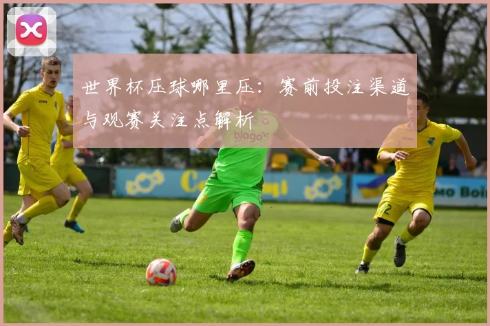 世界杯压球哪里压：赛前投注渠道与观赛关注点解析