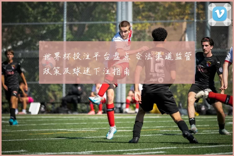 世界杯投注平台盘点 合法渠道监管政策及球迷下注指南