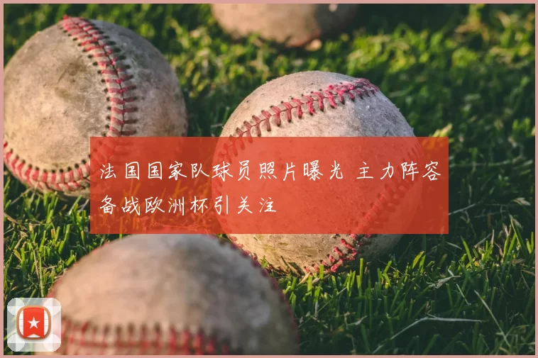 法国国家队球员照片曝光 主力阵容备战欧洲杯引关注