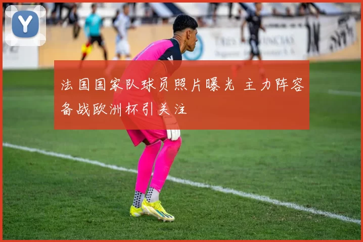 法国国家队球员照片曝光 主力阵容备战欧洲杯引关注