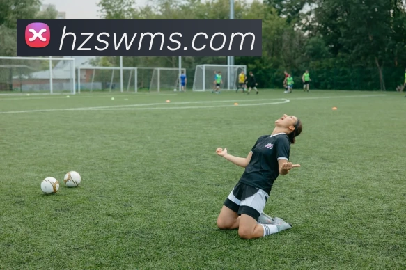 多媒体互动体验